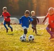 双色球必中,秘籍,期路路通精,500彩票网官方,500万网彩票,500彩票,500万彩票网