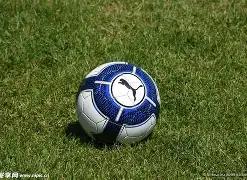 彩界风向标,老杨独家双,色球,500彩票网官方,500万网彩票,500彩票,500万彩票网