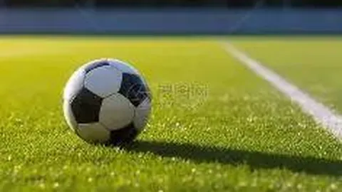 [梦幻蓝韵]2025140期双色球精准杀号攻略：揭秘05号必中秘诀！