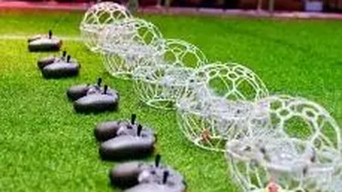 【飞越幸运】双色球2026014期预测揭秘：12红球+2蓝球，连续斩获多期大奖！